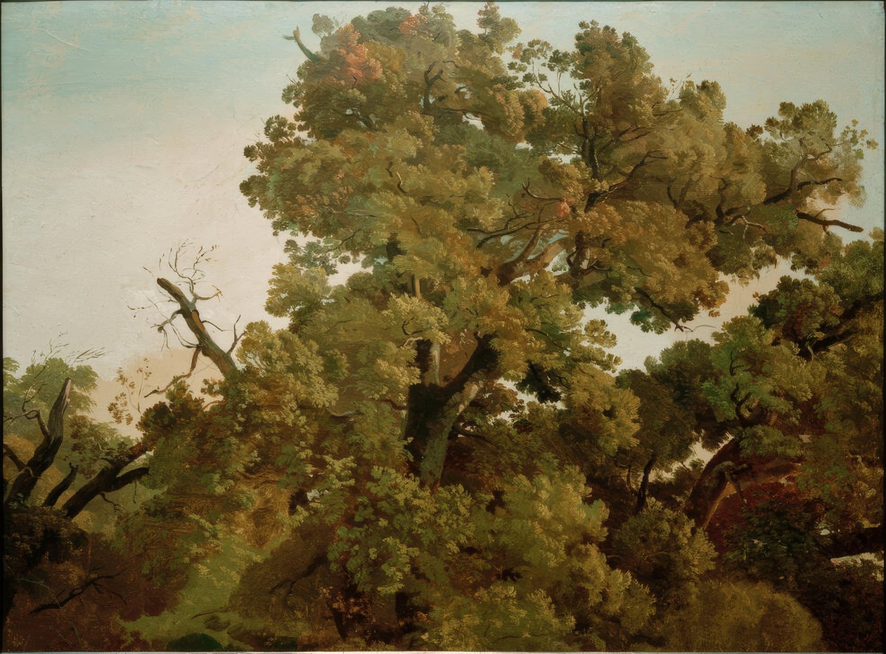 Eiche von Friedrich Nerly