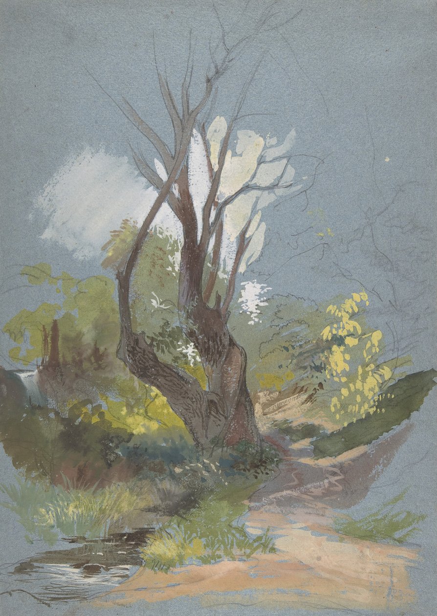 Bergpfad mit einem Baum von Friedrich Nerly