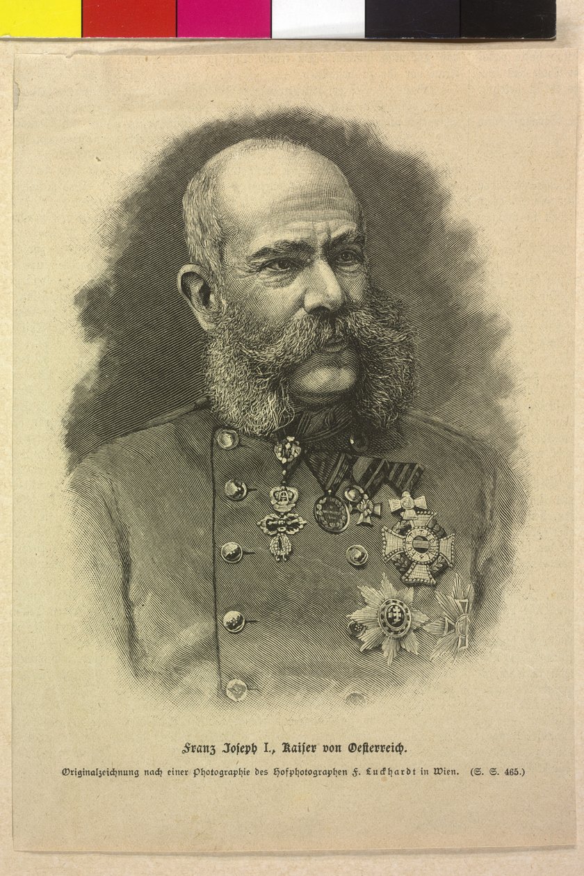 Franz Joseph I. von Fritz Luckhardt