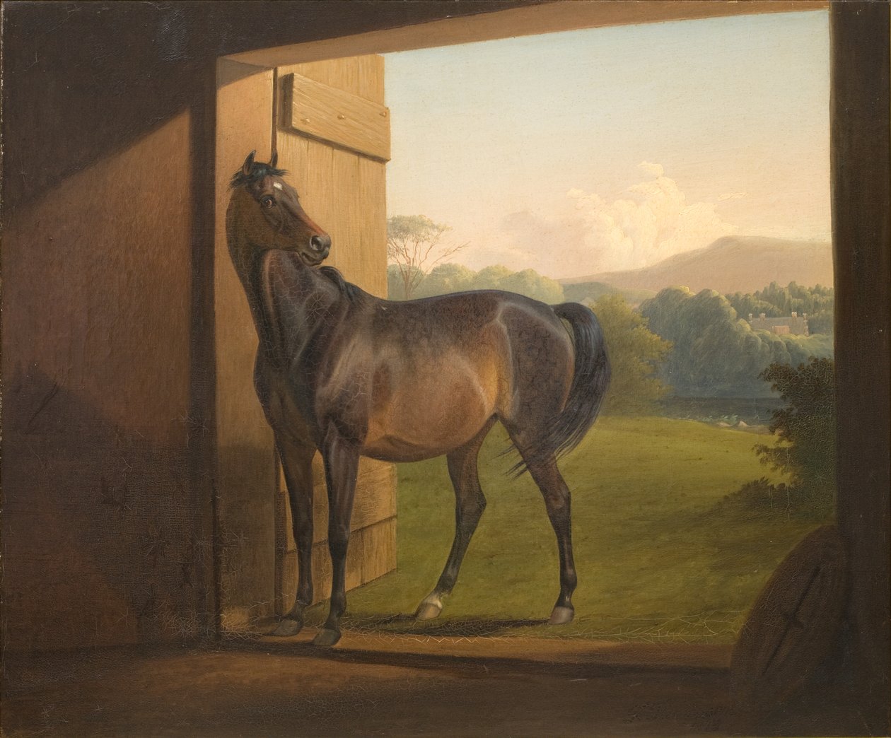 Reveller Stute von Fritz Thomsen