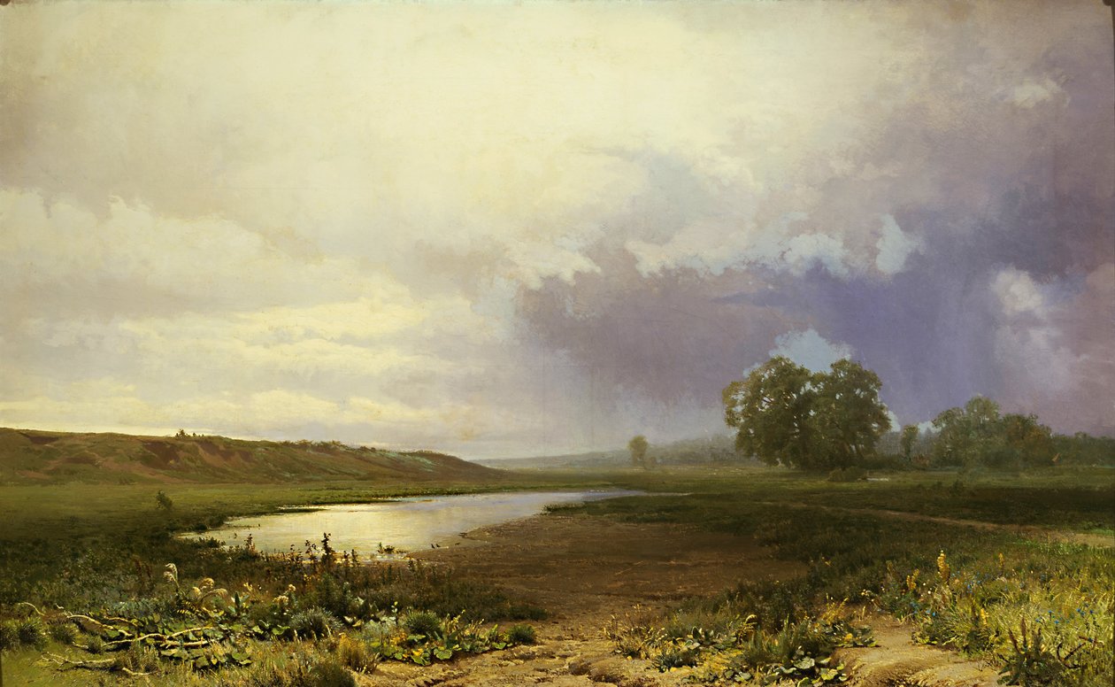 Nasse Wiese von Fyodor Vasilyev