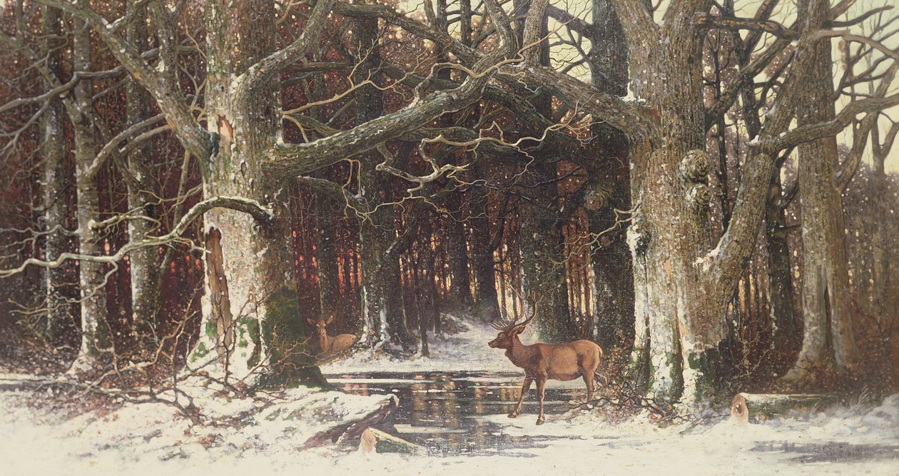 Hirsche im Wald, 19. Jahrhundert von G. Schneyder