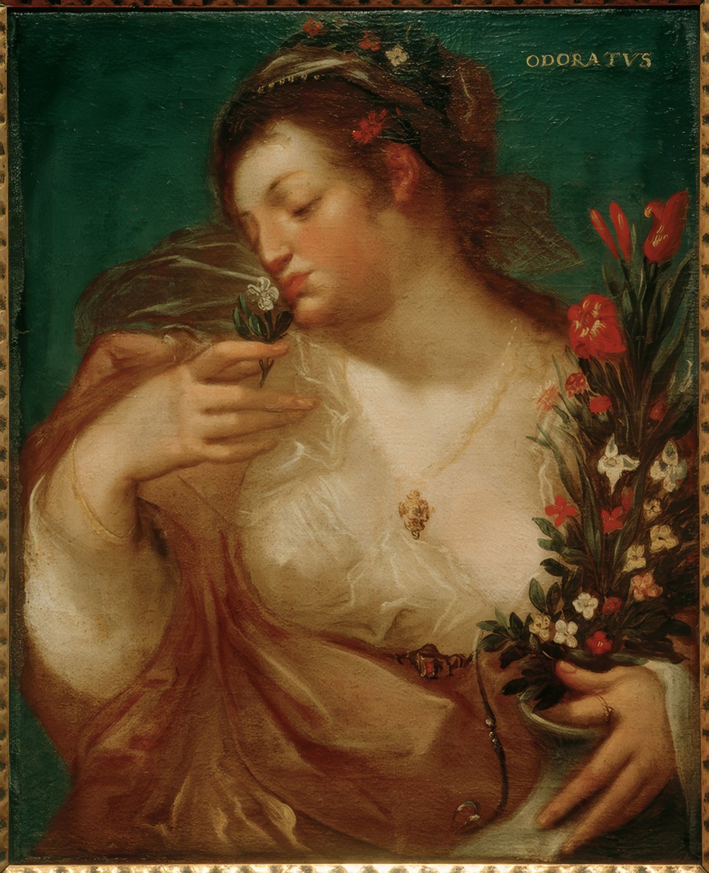 Odoratus von Geldorp Gortzius