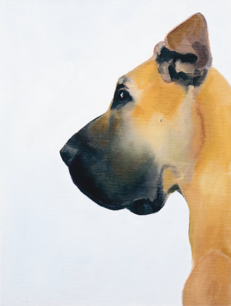Deutsche Dogge, 2016 von Genevieve French