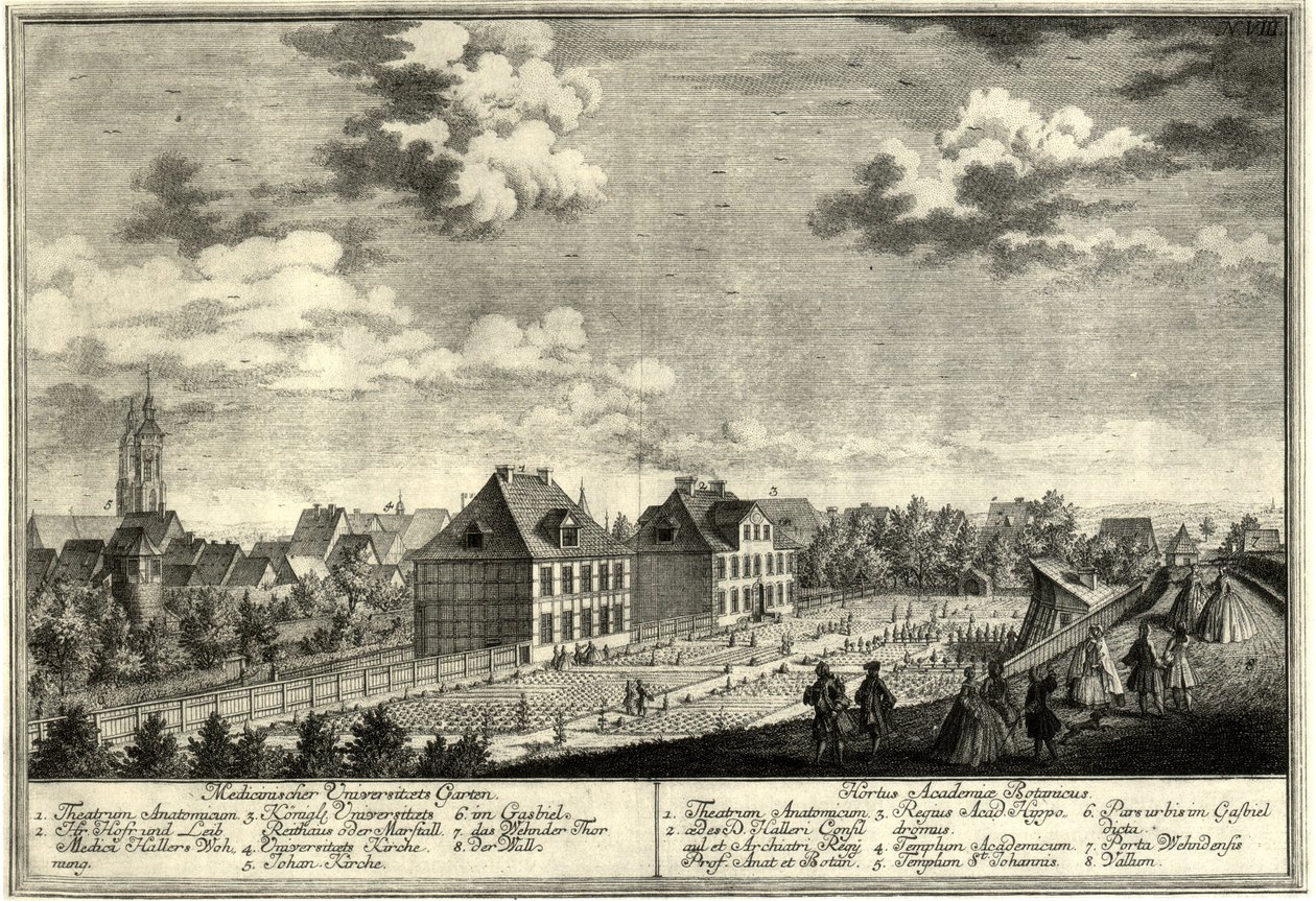 Göttingen Alter Botanischer Garten von Georg Daniel Heumann