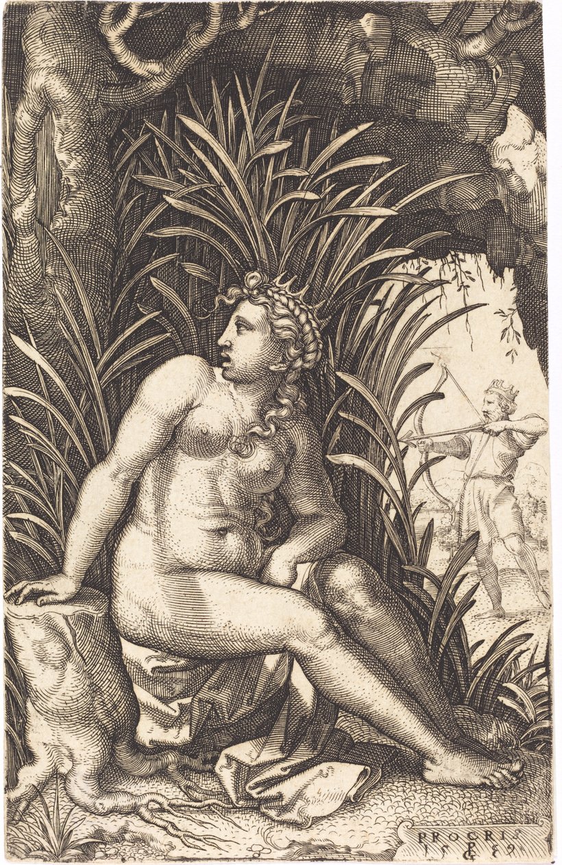 Prokris von Georg Pencz