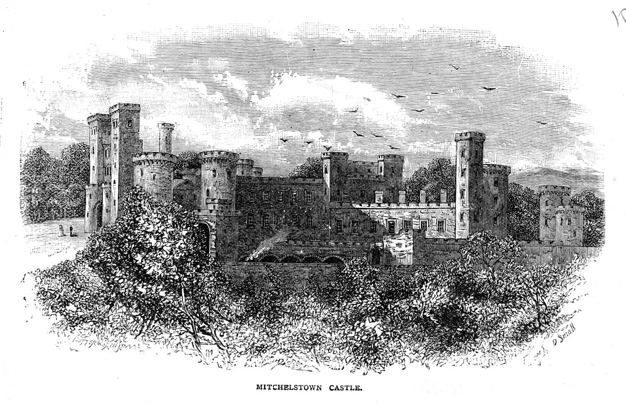 Mitchelstown Castle, graviert von D. Small von George Butterworth