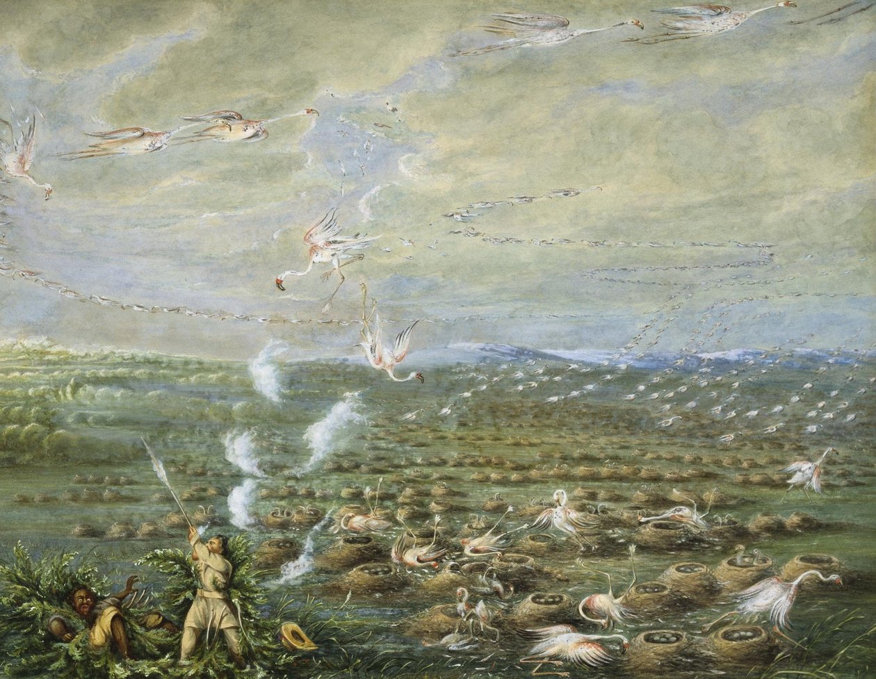 Flamingojagd in Südamerika von George Catlin