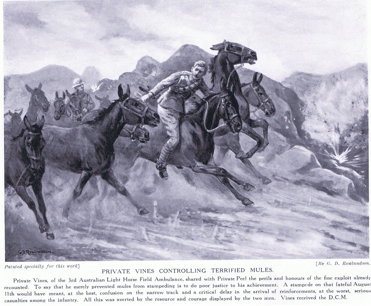 Private Vines wurde das DCM verliehen für die Kontrolle verängstigter Maultiere im August 1915 von George Derville Rowlandson