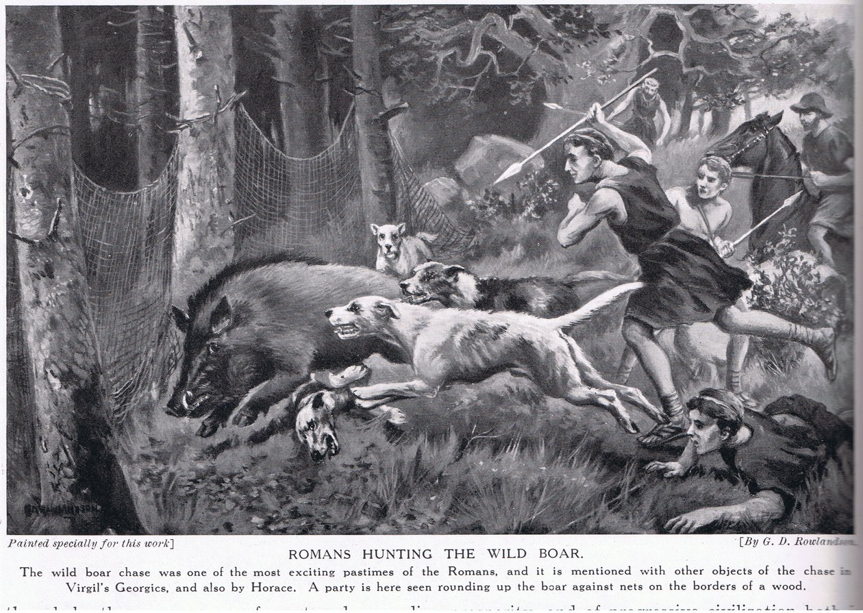 Römer jagen Wildschweine von George Derville Rowlandson
