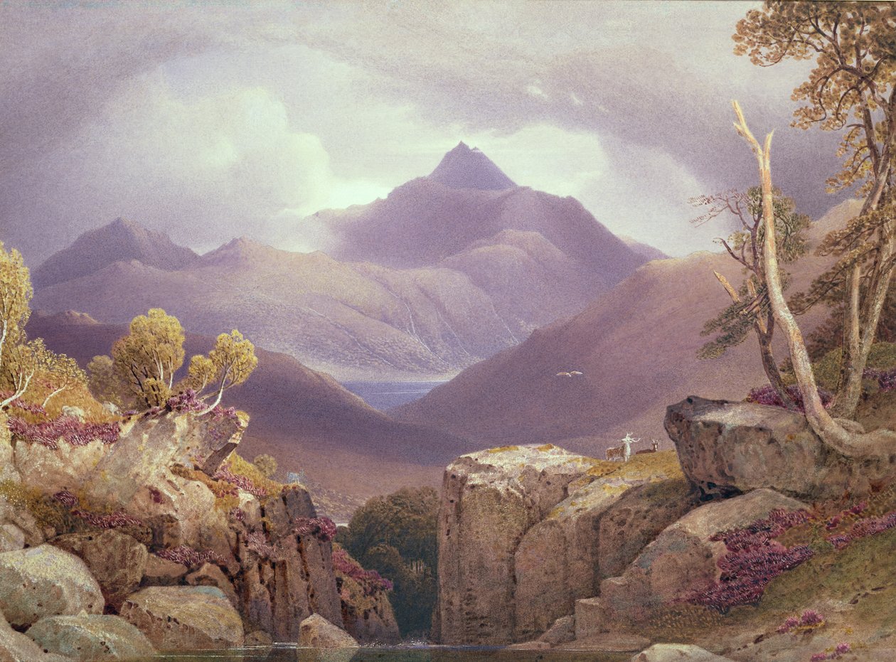 Ben Lomond von George Fennel Robson