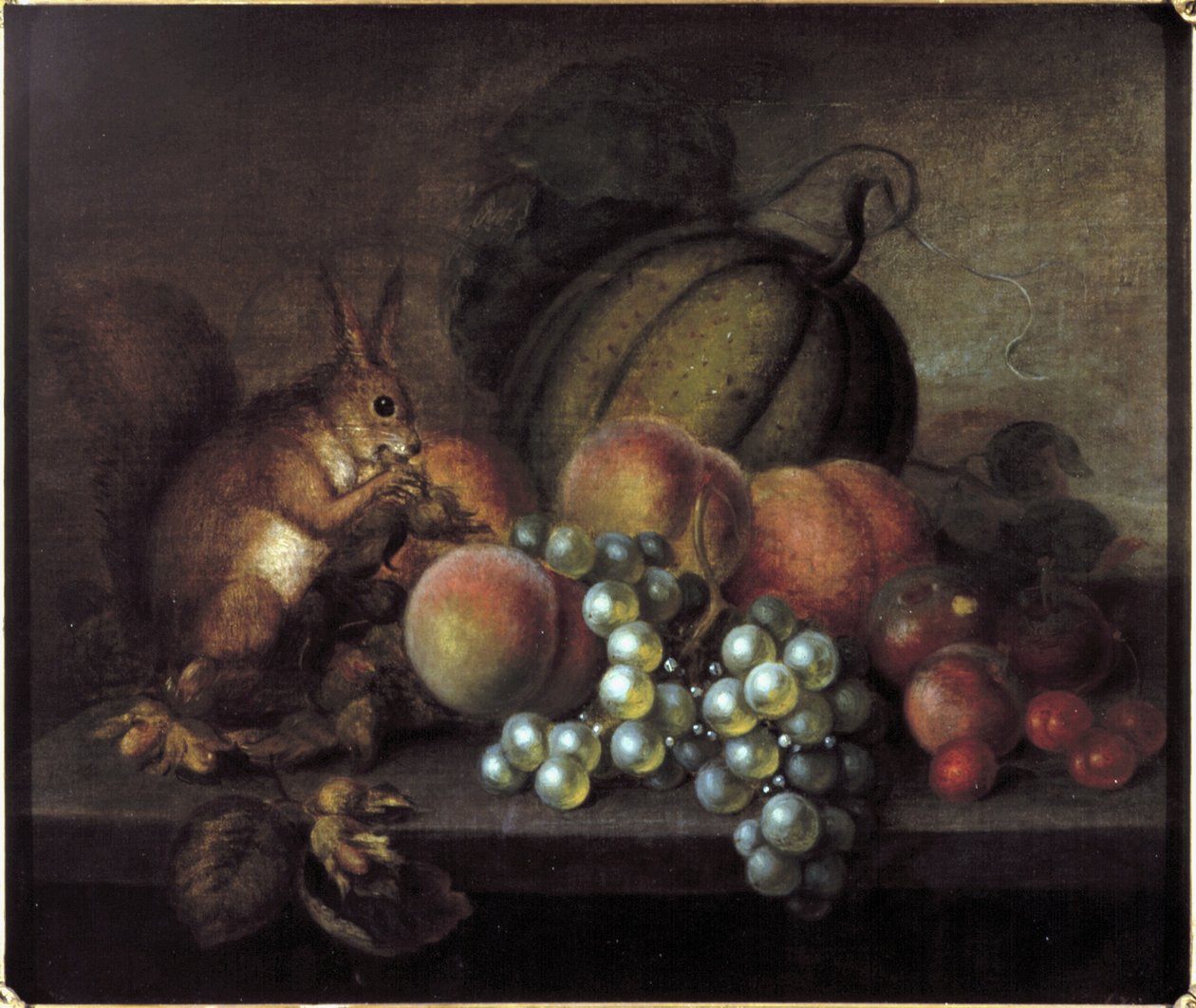Studie von Früchten mit Eichhörnchen von George Gray