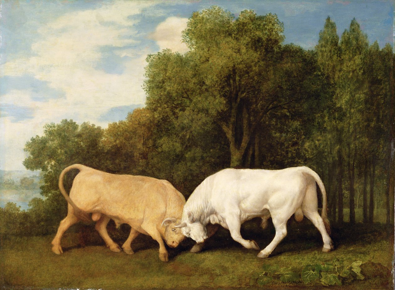 Stierkampf, 1786 von George Stubbs