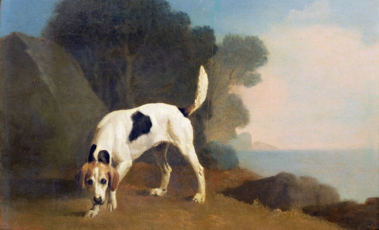 Fuchshund auf der Spur, ca. 1760 von George Stubbs