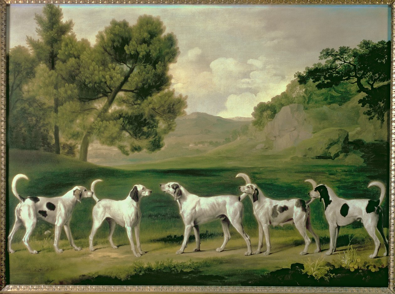 Fuchshunde in einer Landschaft, 1762 von George Stubbs
