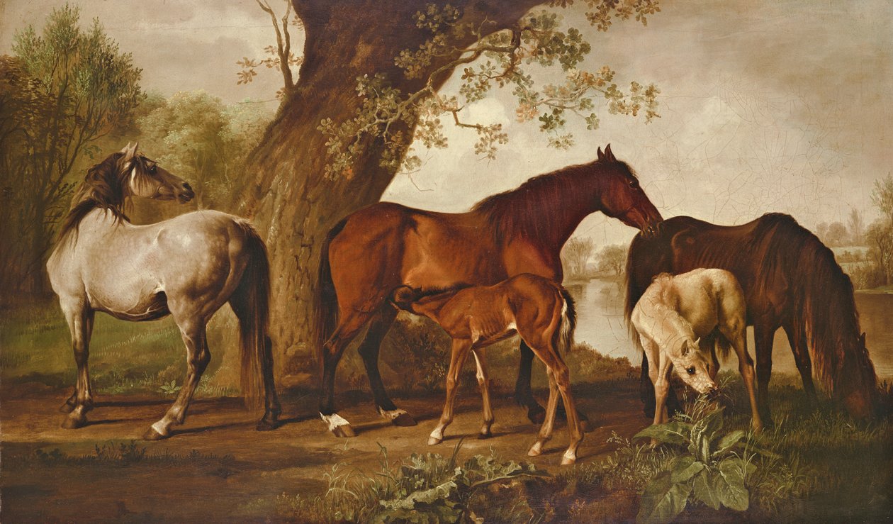 Stute und Fohlen von George Stubbs