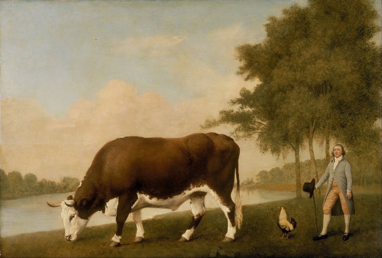 Der Lincolnshire Ochse von George Stubbs