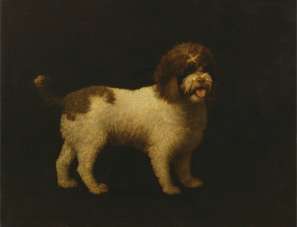 Wasser-Spaniel von George Stubbs