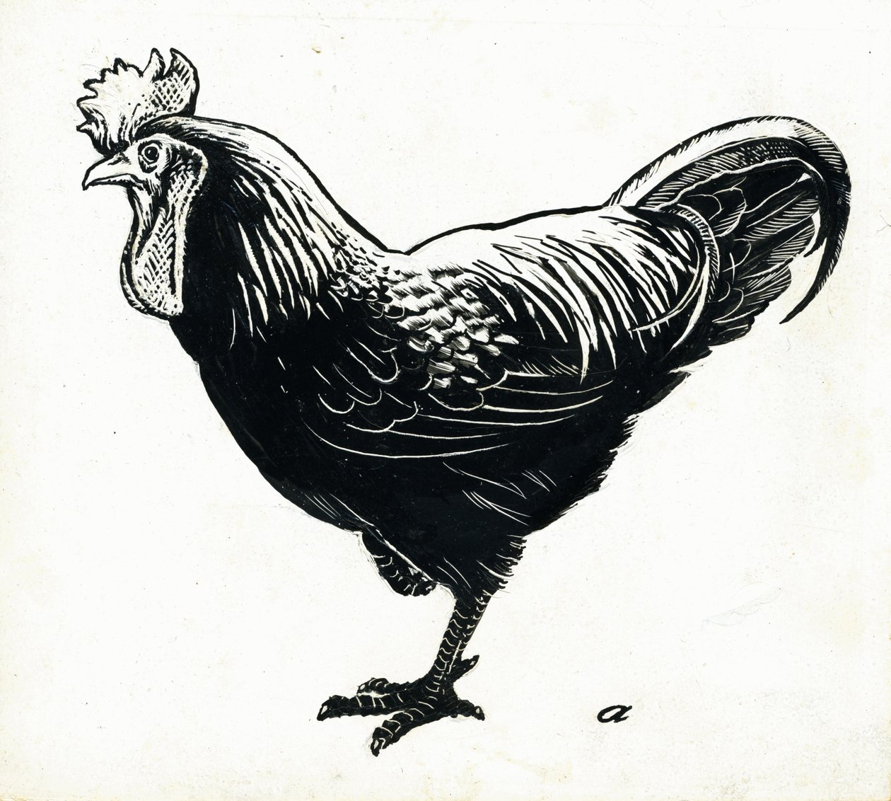 Das Huhn von George Adamson