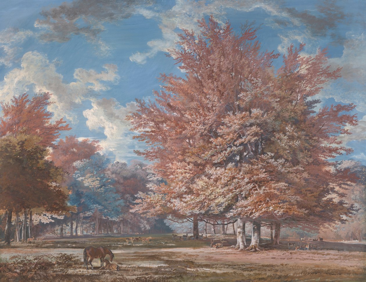 Blick in einen Park von George Barret