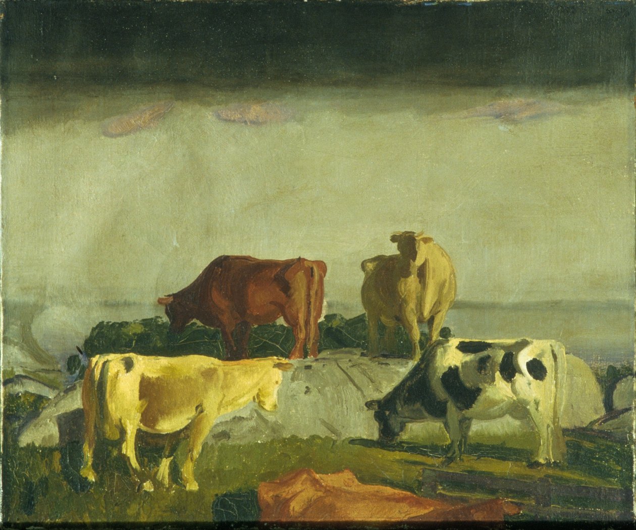Der rote Weinberg, Matinicus Island, Maine von George Bellows