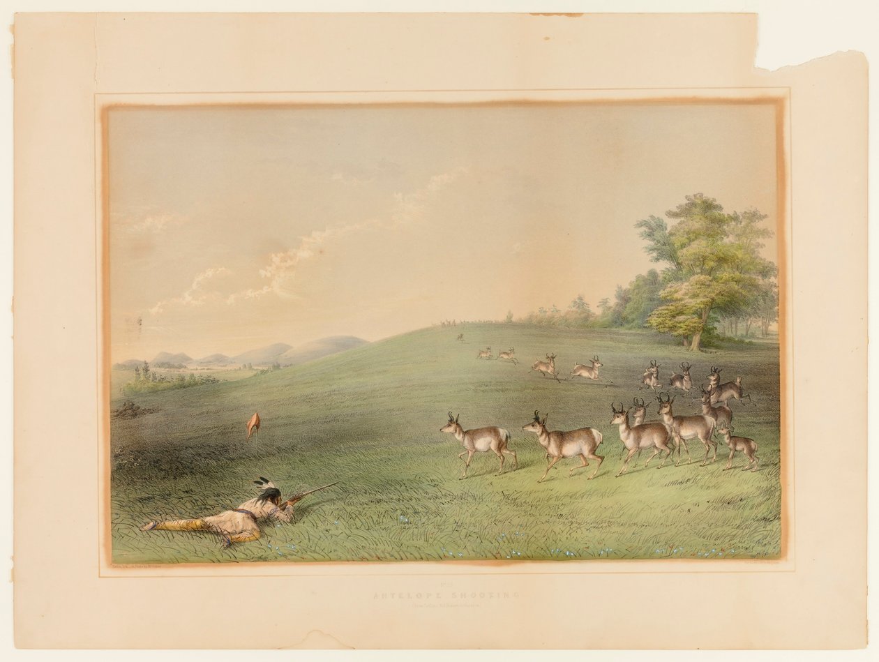 Antilopenjagd--Nr. 20 von George Catlin