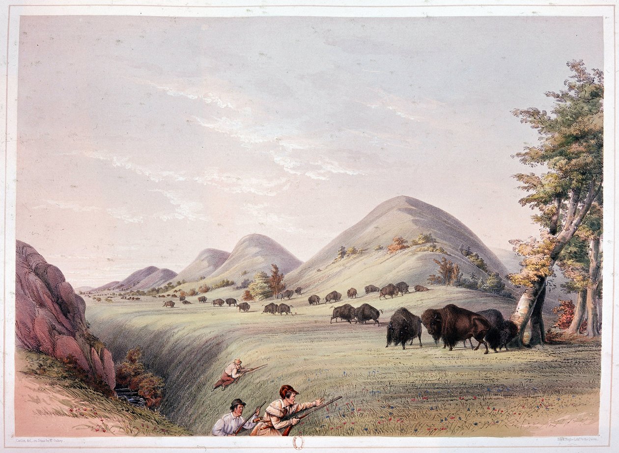 Bisonjagd von George Catlin