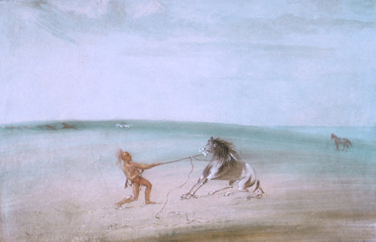 Das wilde Pferd zähmen von George Catlin