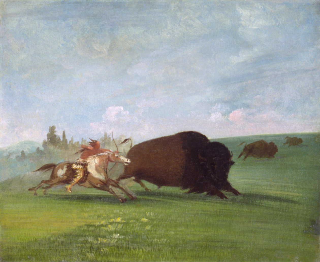 Büffeljagd, ein einzelner Tod von George Catlin