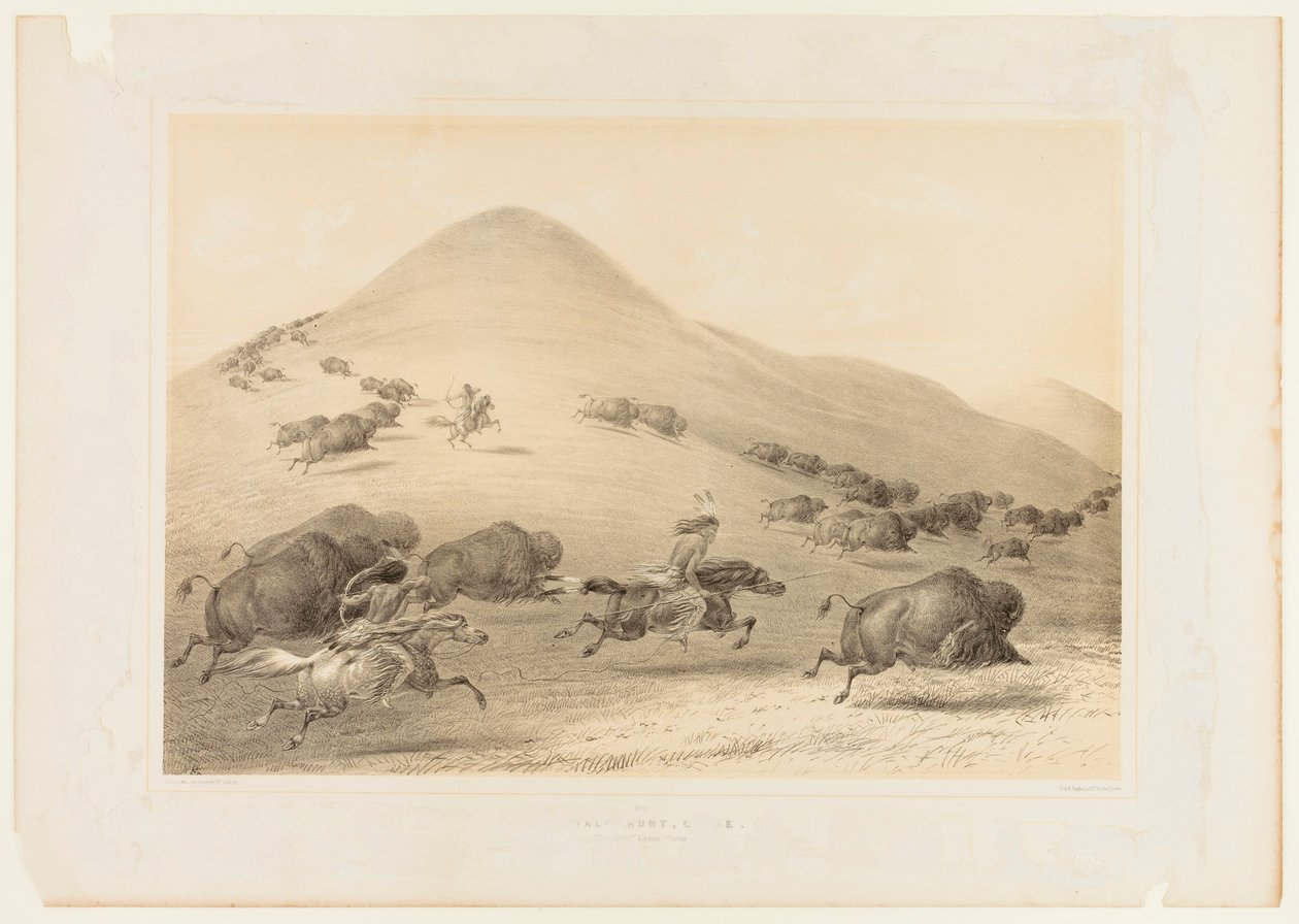 Büffeljagd, Verfolgung--Nr. 6 von George Catlin