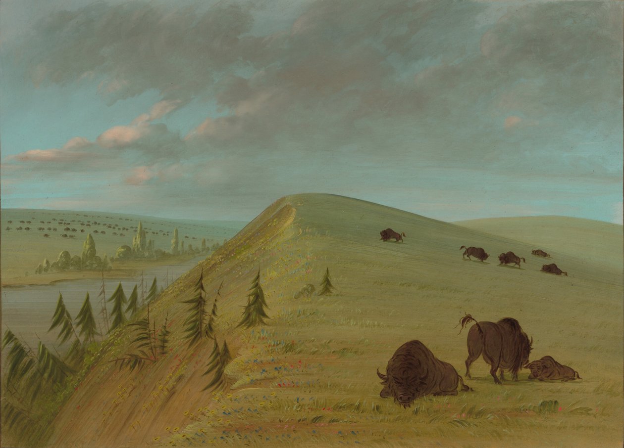 Cedar Bluffs von George Catlin