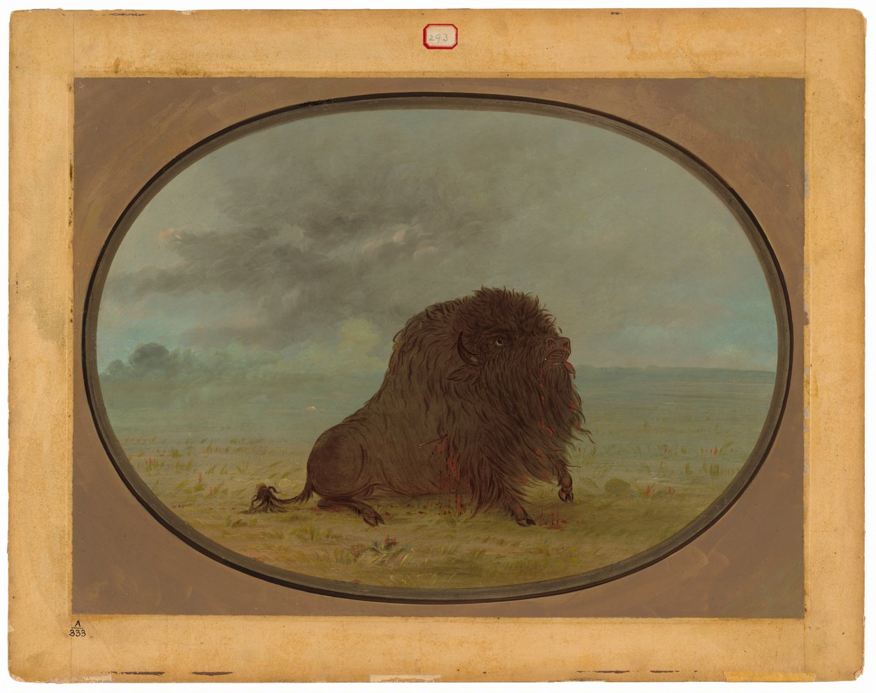 Sterbender Büffelbulle von George Catlin