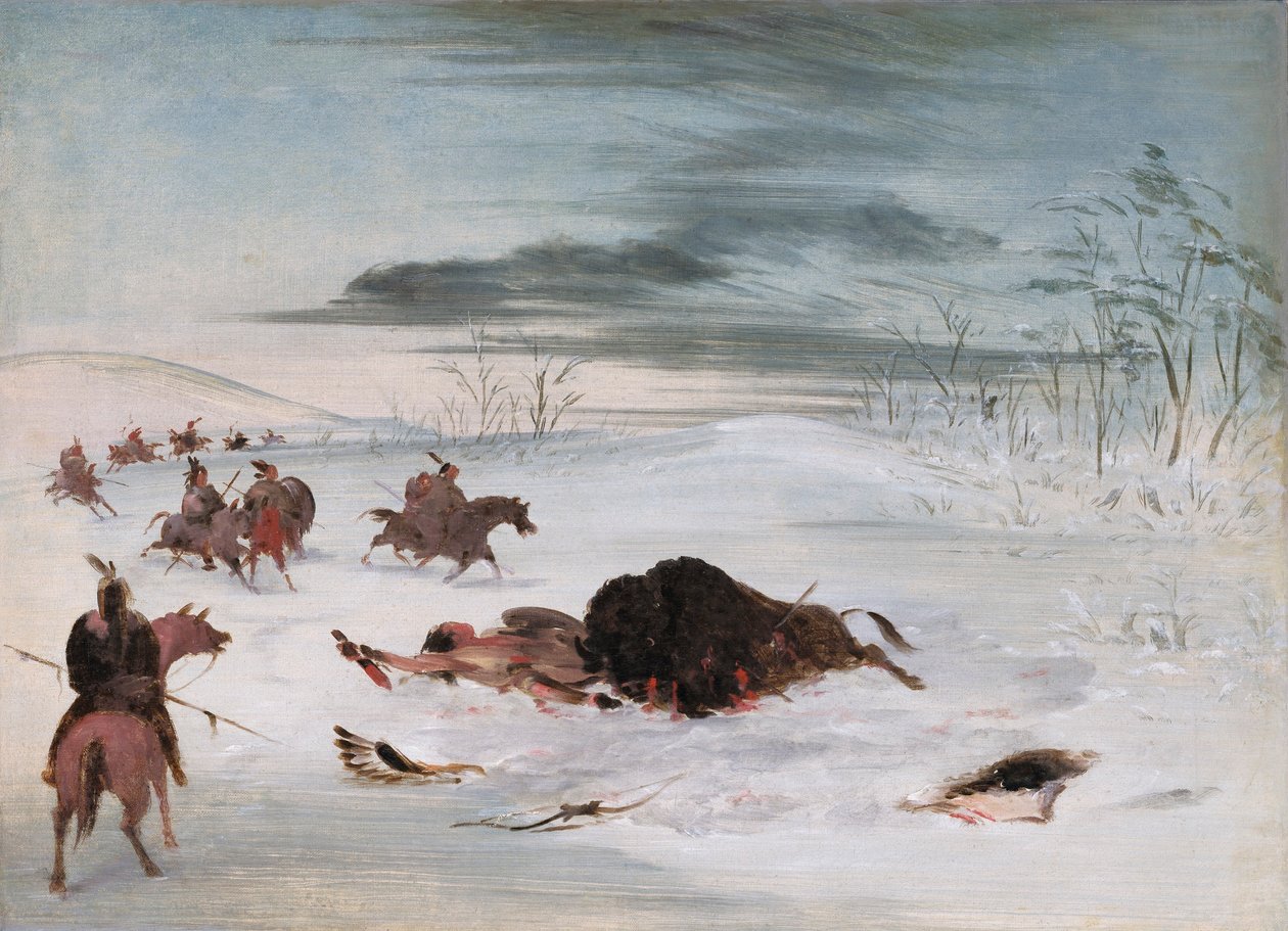 Sterbender Büffel in einer Schneeverwehung von George Catlin