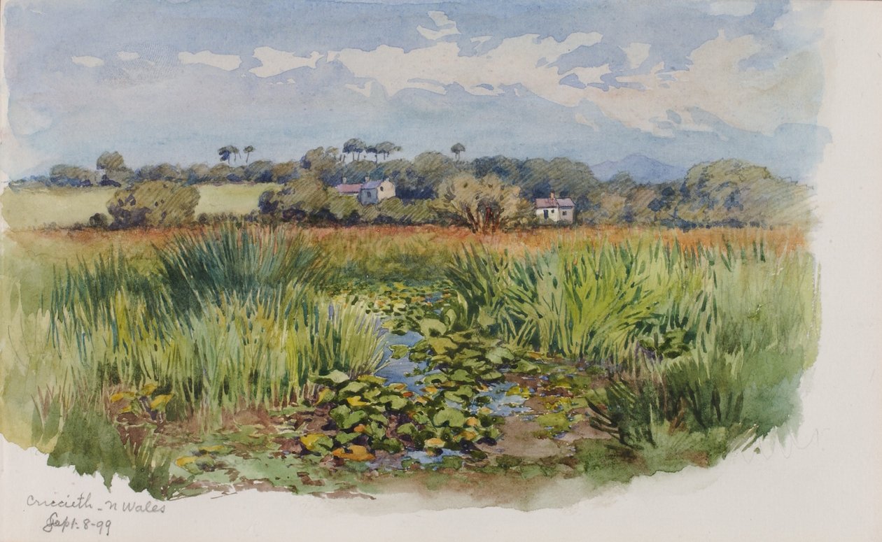 Criccieth, Nordwales von George Elbert Burr
