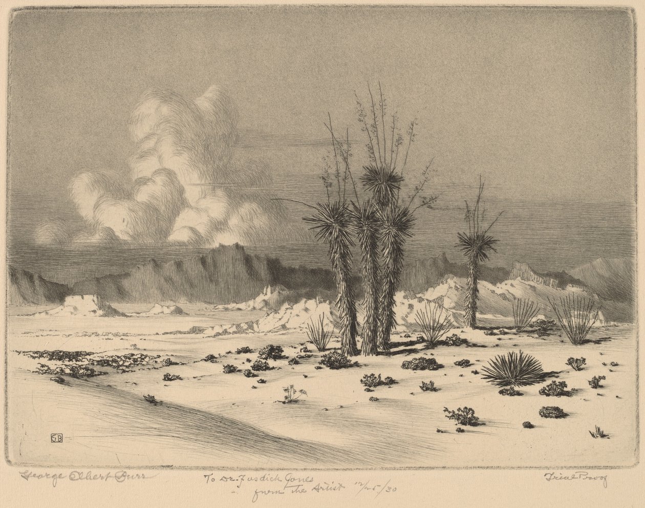 Abend, Arizona von George Elbert Burr