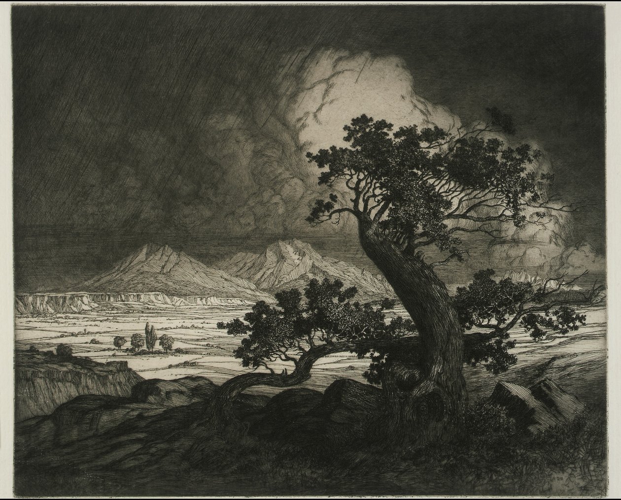 Alte Zedern und Spanische Gipfel von George Elbert Burr