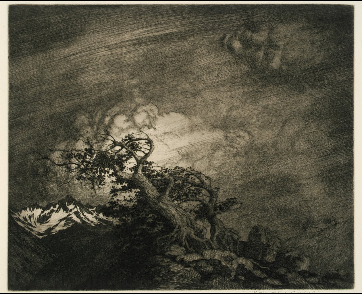 Sturm nahe der Baumgrenze von George Elbert Burr