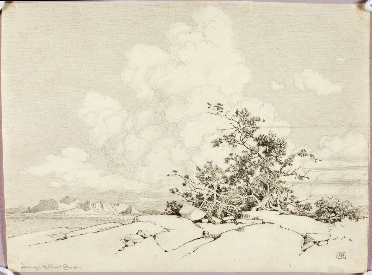 Ohne Titel von George Elbert Burr