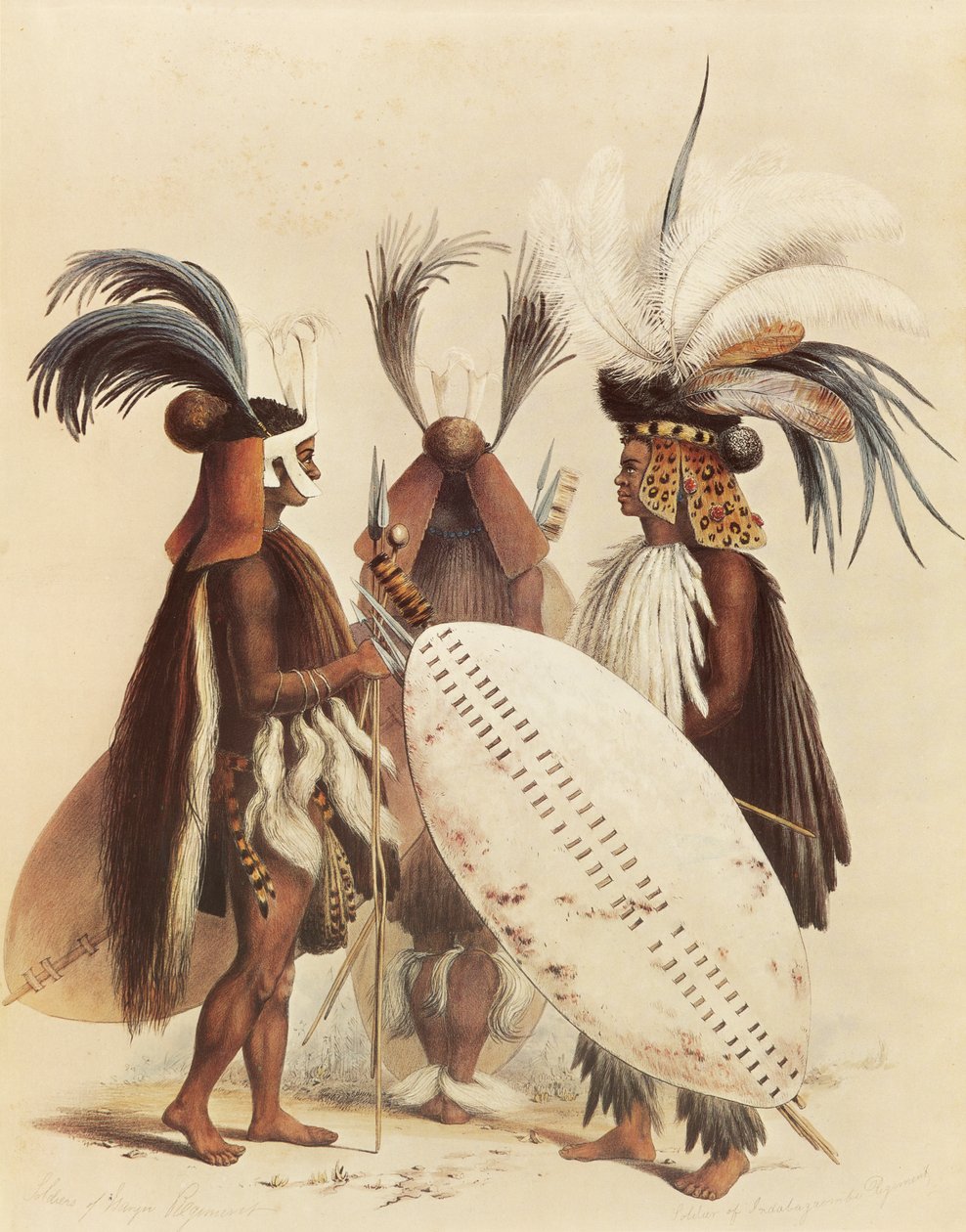 Die Zulu-Armee von George French Angas