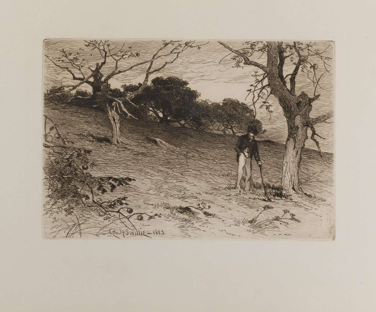 Ein alter Obstgarten in Neuengland von George H. Smillie
