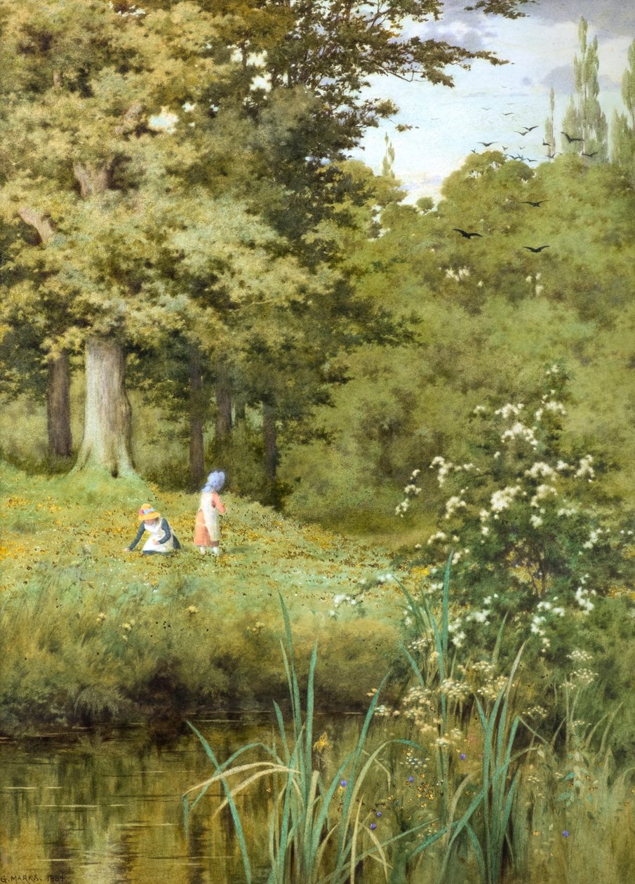 Wilde Blumen pflücken von George Marks