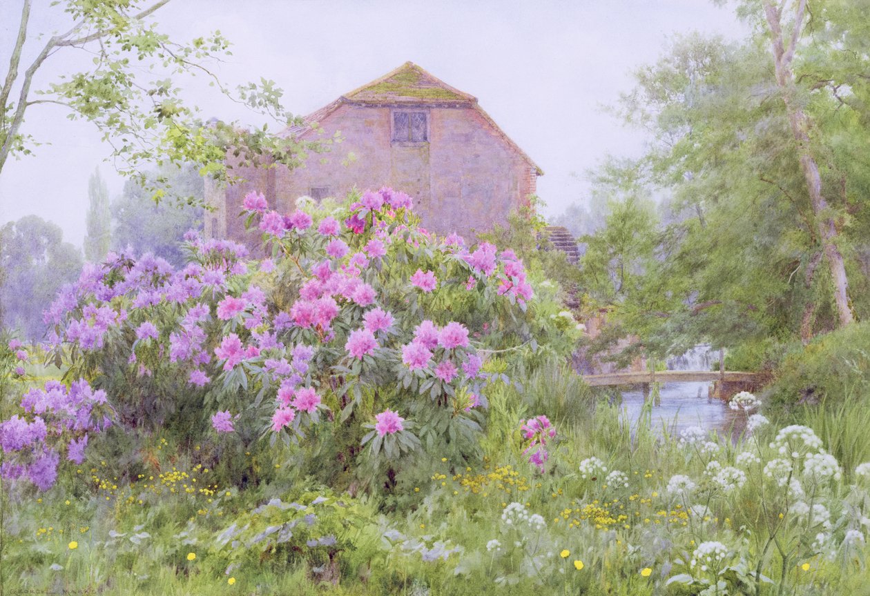 Rhododendren an einer Wassermühle von George Marks