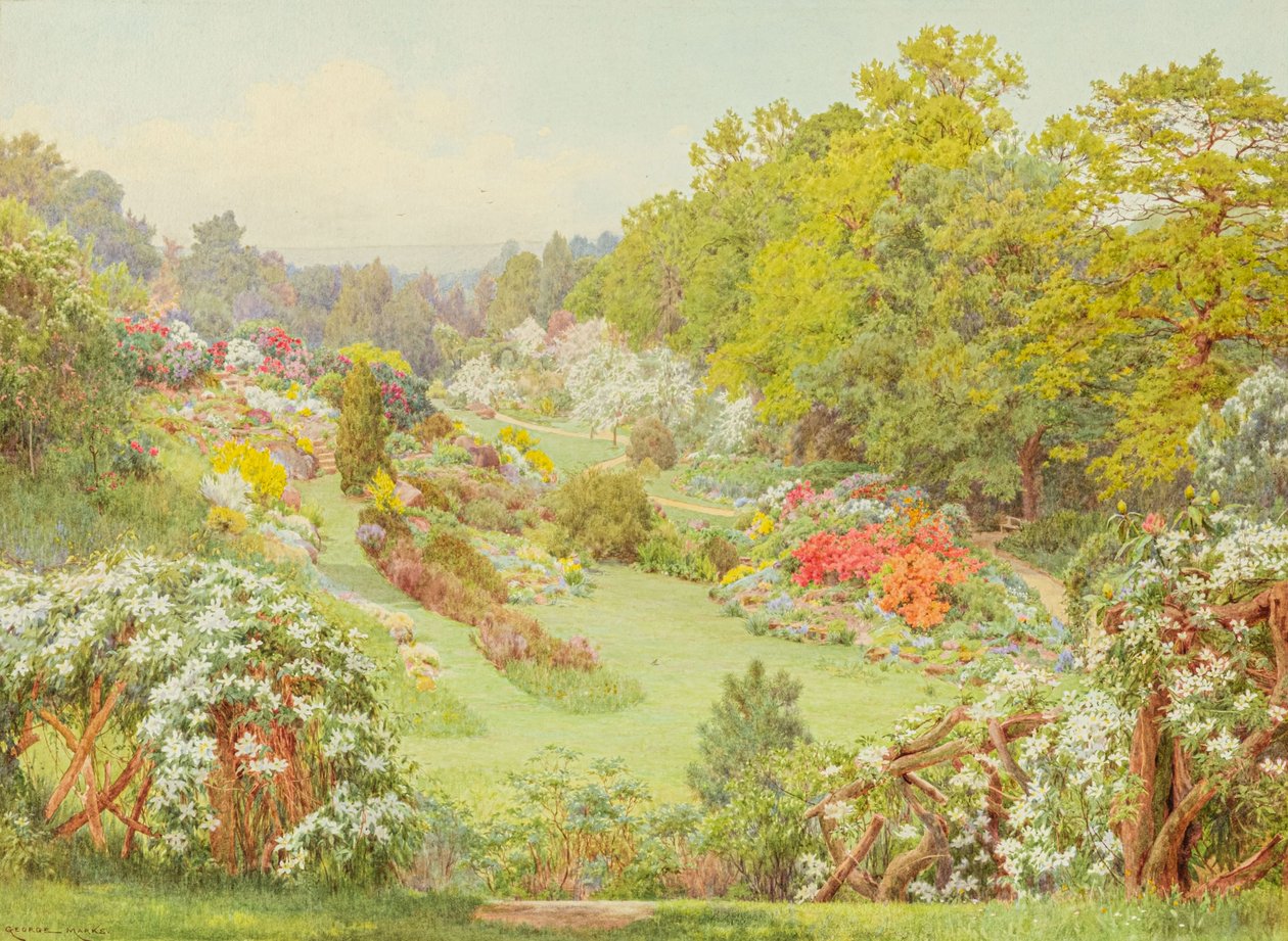 Frühlingsblüten von George Marks
