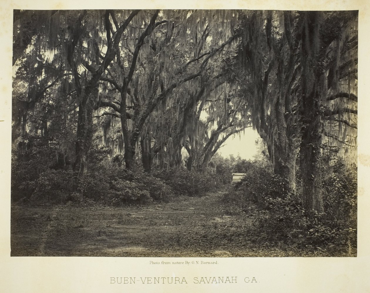 Buen-Ventura Savannah, Ga. von George N. Barnard