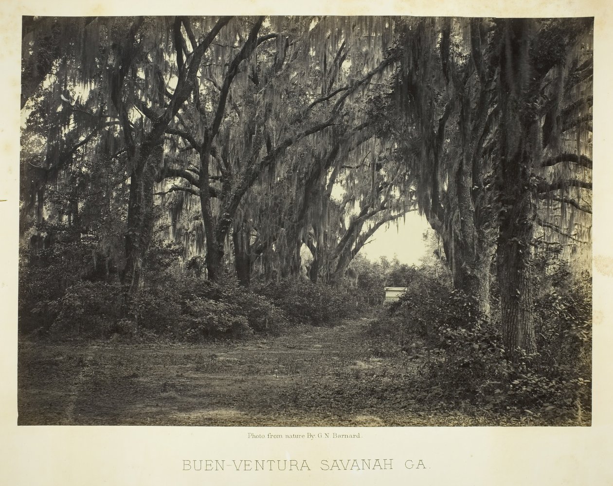 Buen-Ventura Savannah, Ga., 1866 von George N. Barnard