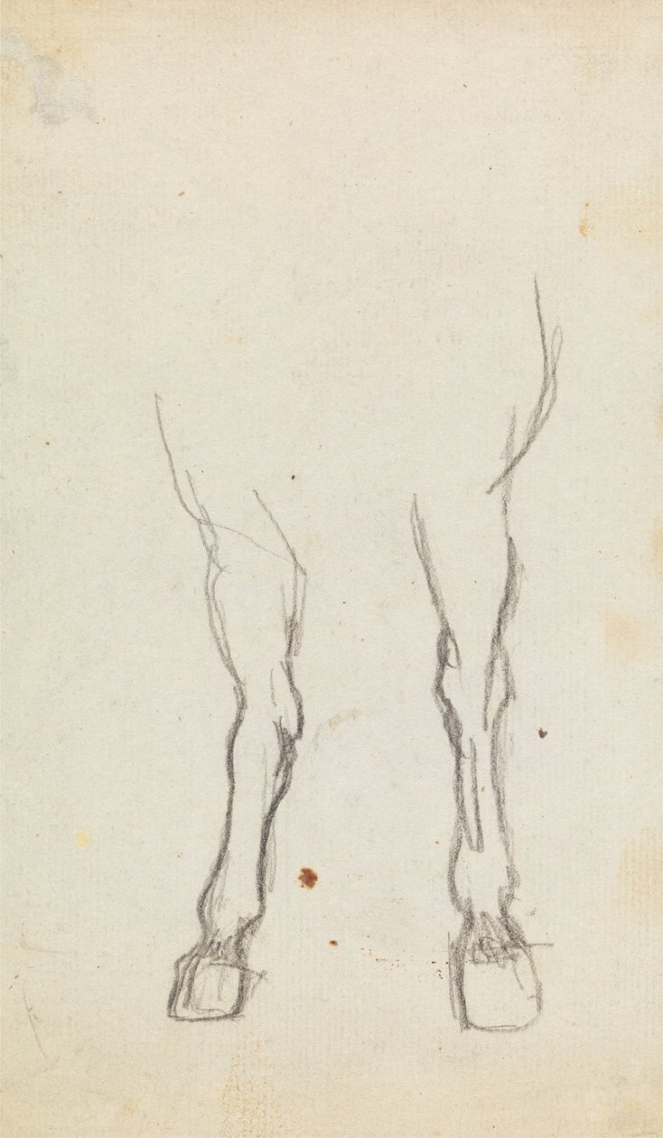Studie der Hufe eines Pferdes von George Romney