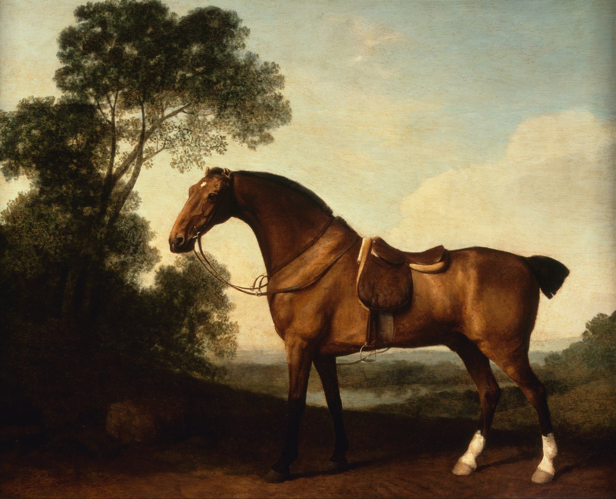 Ein gesattelter brauner Jäger von George Stubbs