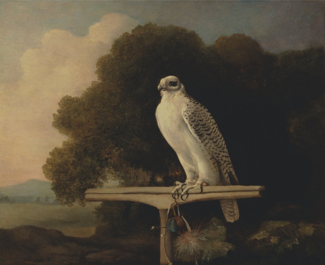 Grönlandfalke von George Stubbs