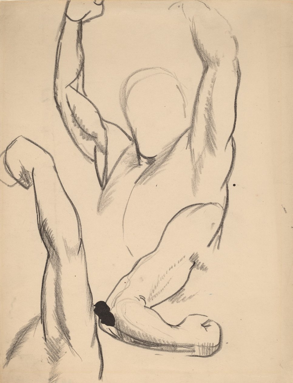 Arme eines Boxers, 1916 von George Wesley Bellows