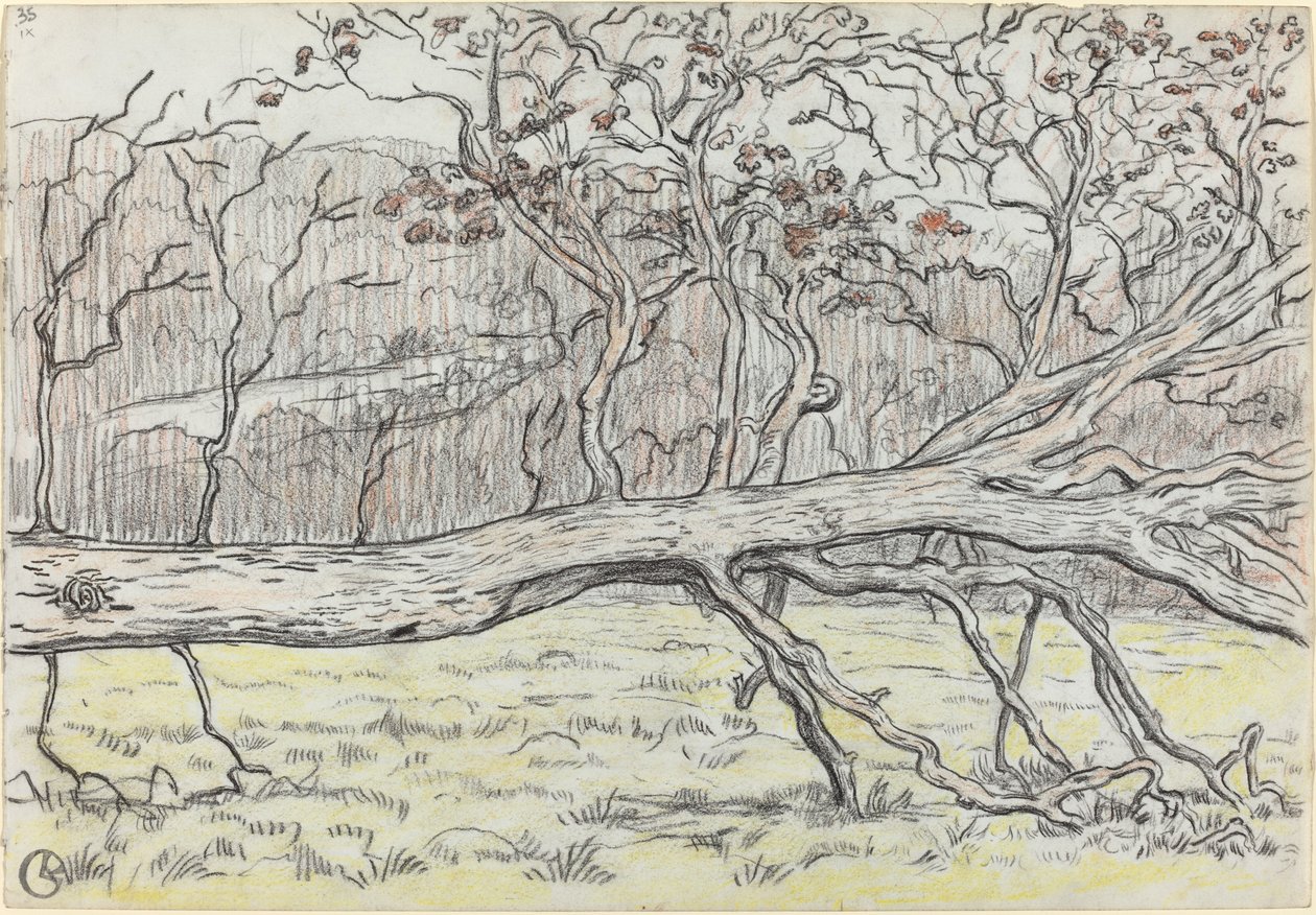 Gefällter Baum, Normandie von Georges Lacombe